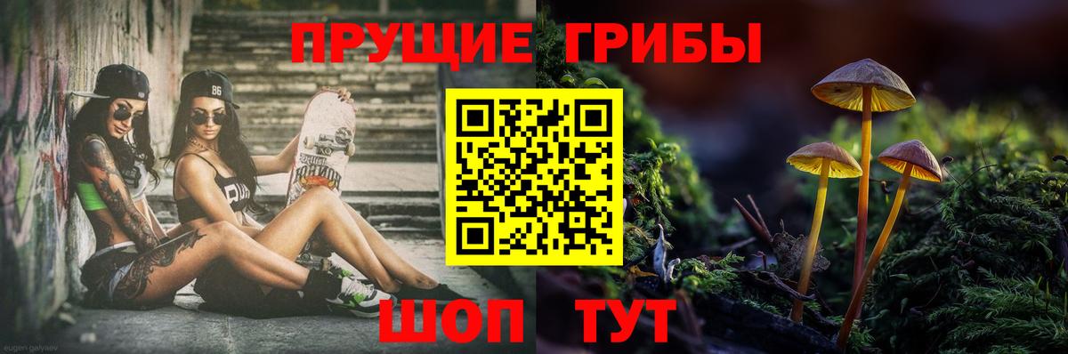 Псилоцибиновые грибы GOLDEN TEACHER Черняховск