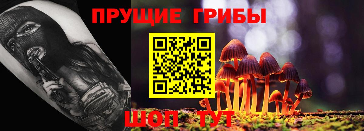 Псилоцибиновые грибы мицелий  Вход с VPN  цены   Черняховск 